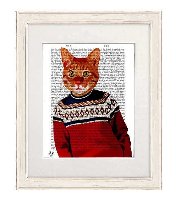 A cat in a sweater Description automatically generated