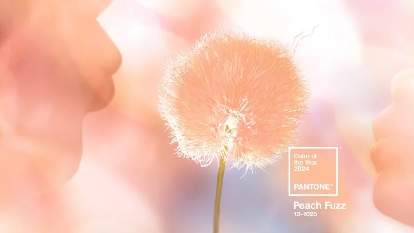 Pantone CoTY 2024 – Peach Fuzz
