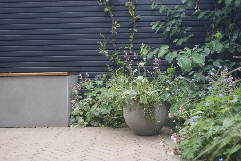 Spruce Up Your Garden: Thorndown’s Guide to the Best Fence Colours