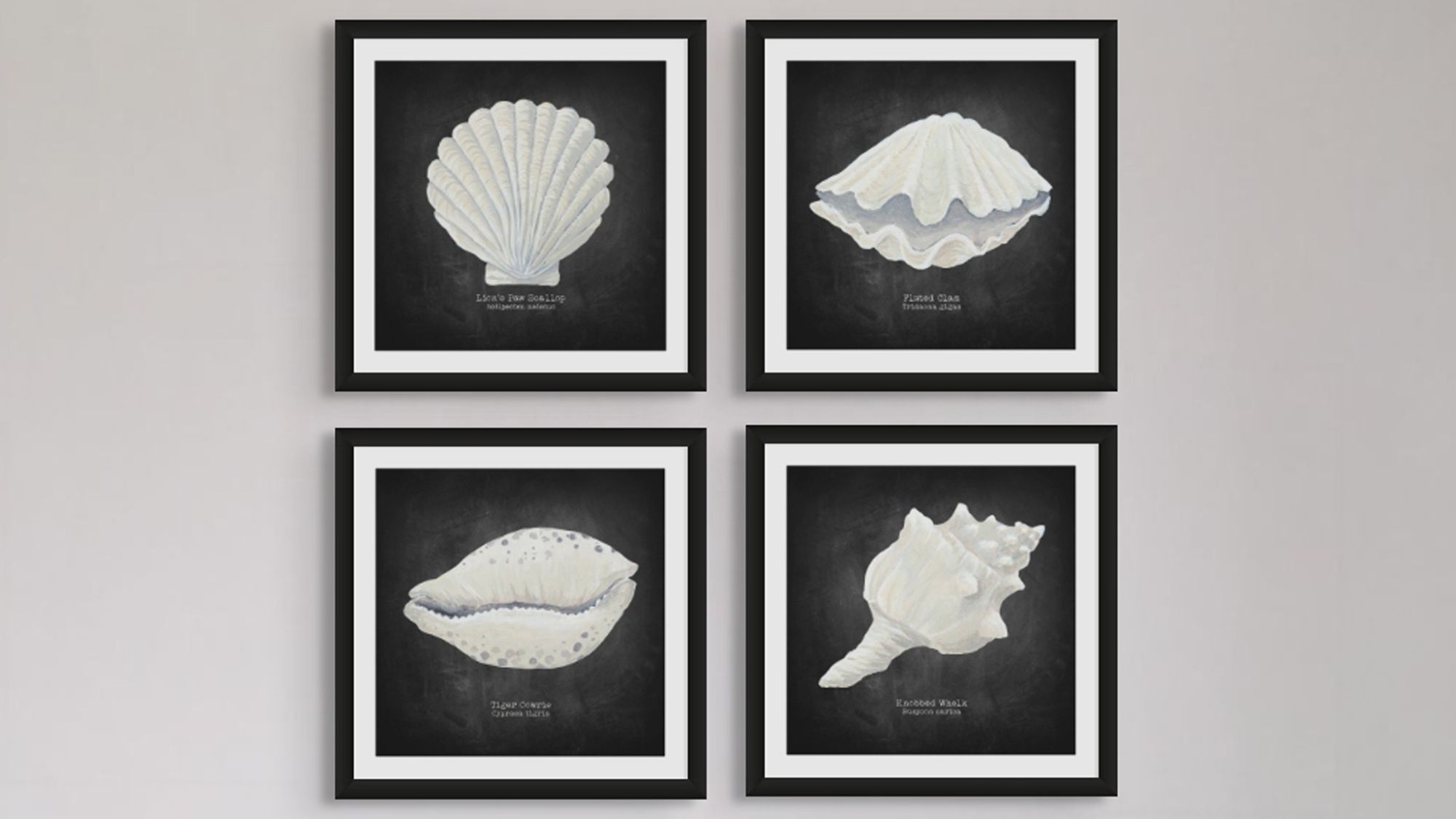 Discover Beach House Art’s Two New Collections