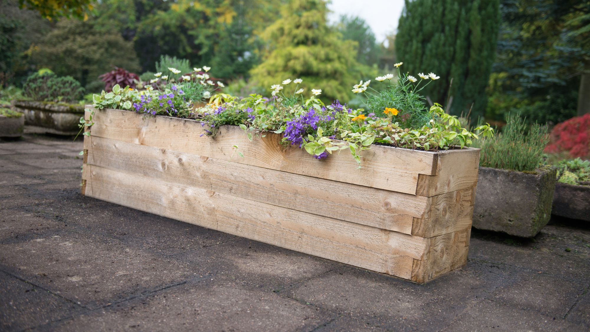 Forest Garden Helps Homeowners Achieve Their Green Ambitions This New Year